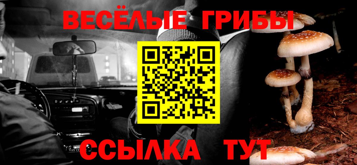Галлюциногенные грибы Cubensis Петропавловск-Камчатский