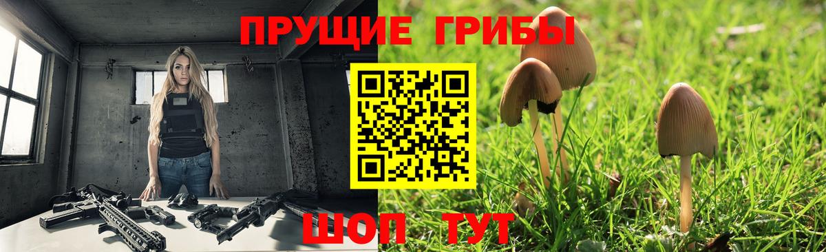Псилоцибиновые грибы Psilocybe  Вход с VPN  Петропавловск-Камчатский 